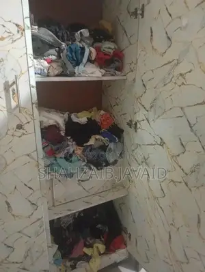 Lightly Used Wooden Almari Cabinet in Excellent Condition