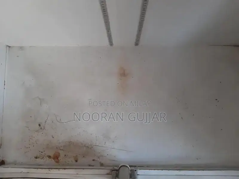 Cool Mist Humidifier for Bedroom and Home