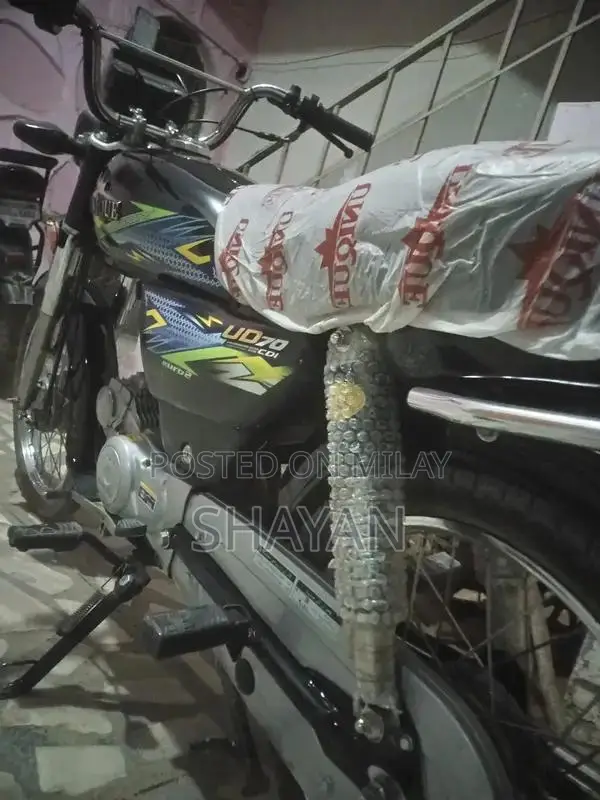 2024 Model Unique Vehicle - Pristine Condition