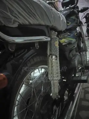 2024 Model Unique Vehicle - Pristine Condition