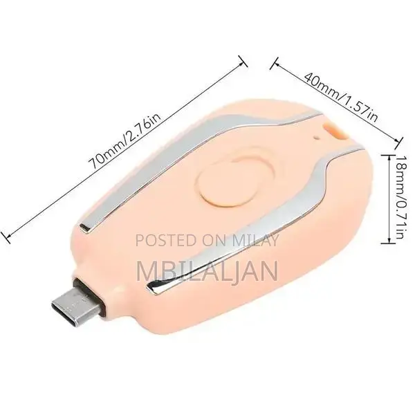 Compact Type-C Portable Power Bank Keychain Charger