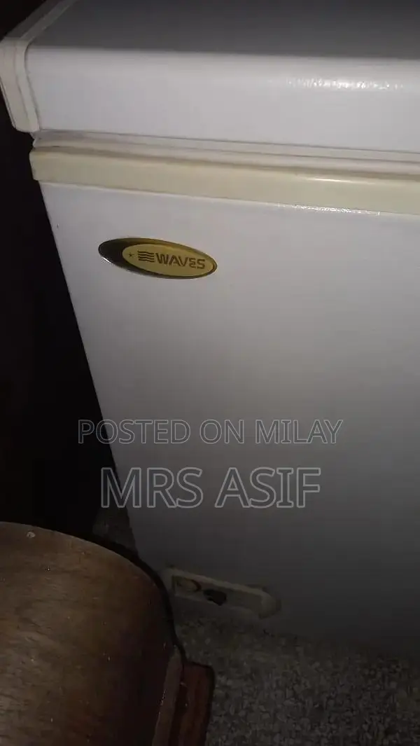 Waves Single-User Refrigerator in Excellent Condition