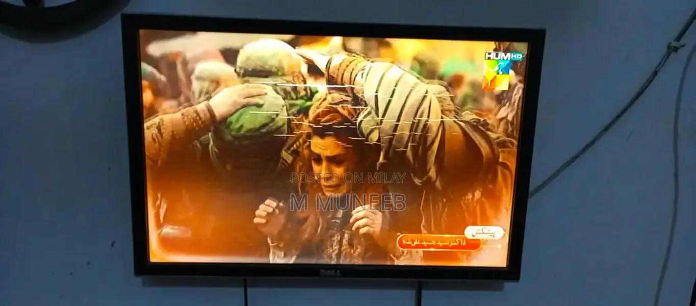 Dell 24-Inch Professional LCD Monitor