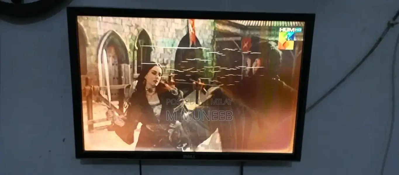 Dell 24-Inch Professional LCD Monitor