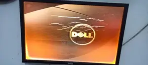 Dell 24-Inch Professional LCD Monitor