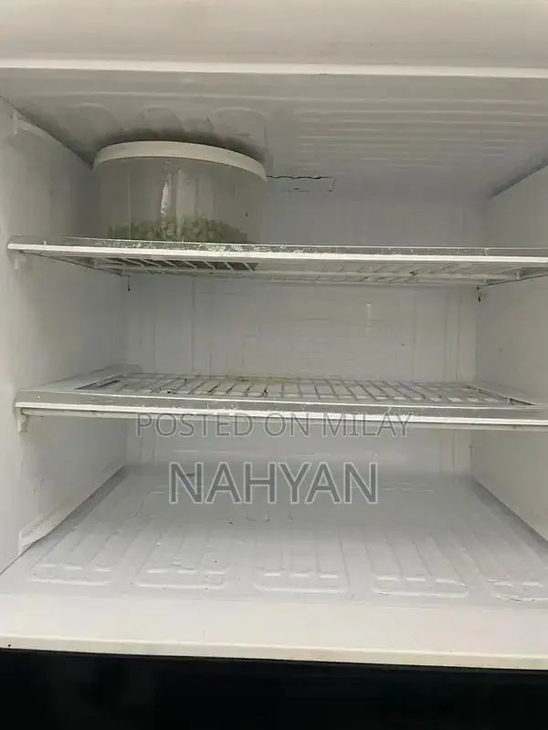 PEL Glass Door Refrigerator - Sleek and Efficient Cooling