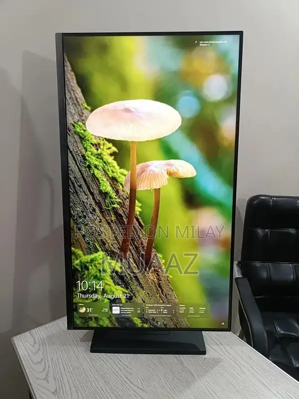 Samsung 32-inch 4K Professional Borderless LED Monitor