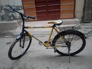 Photo - Phoenix Stylish Cycle - Versatile Urban Bicycle