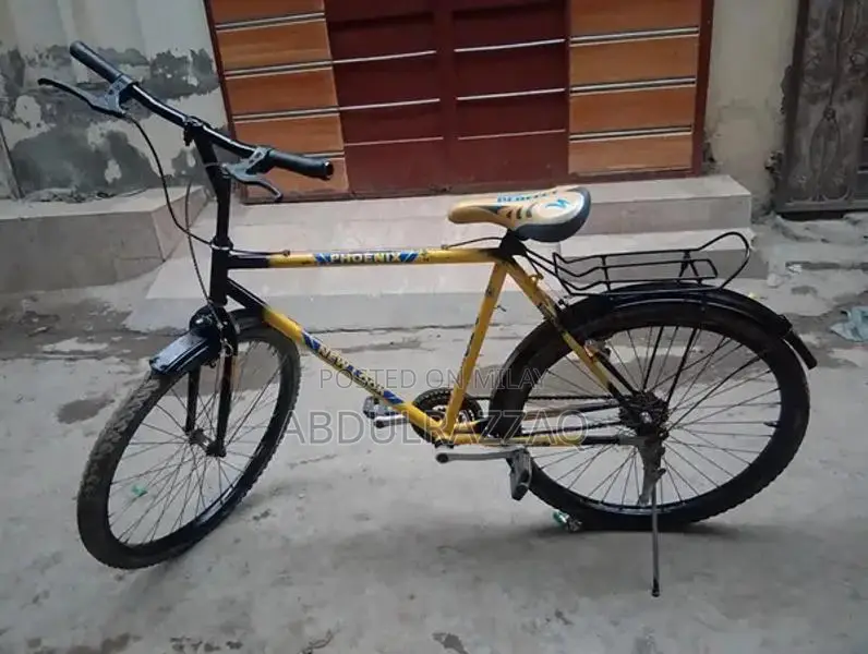 Phoenix Stylish Cycle - Versatile Urban Bicycle