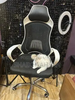 Photo - Black and White Gaming Chair for Serious Gamers