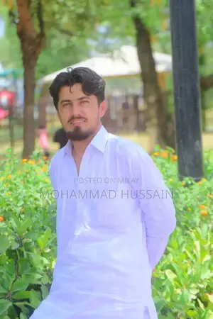 Photo - Professional Driving Services for Family and Office Transportation