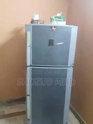 Large Capacity Cooling Refrigerator with Advanced Features