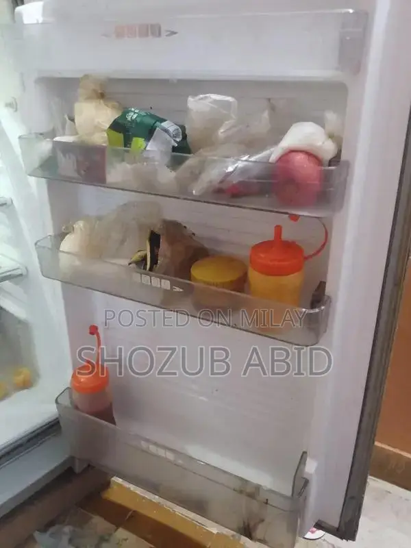 Large Capacity Cooling Refrigerator with Advanced Features