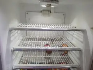 Large Capacity Cooling Refrigerator with Advanced Features