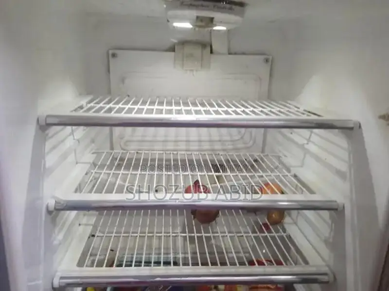 Large Capacity Cooling Refrigerator with Advanced Features