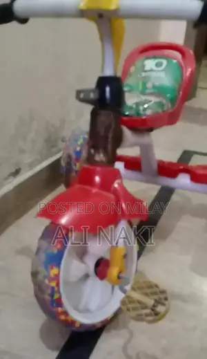 Children's Tricycle for Growing Kids