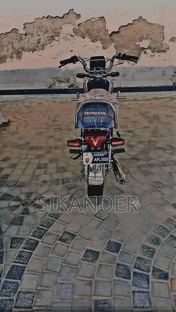 2026 Zero Condition Bicycle - Low Mileage Road Bike