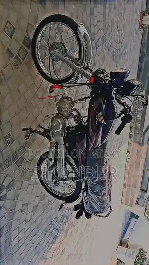 2026 Zero Condition Bicycle - Low Mileage Road Bike