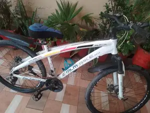 Imported Branded Bicycle - Versatile Urban Commuter Model