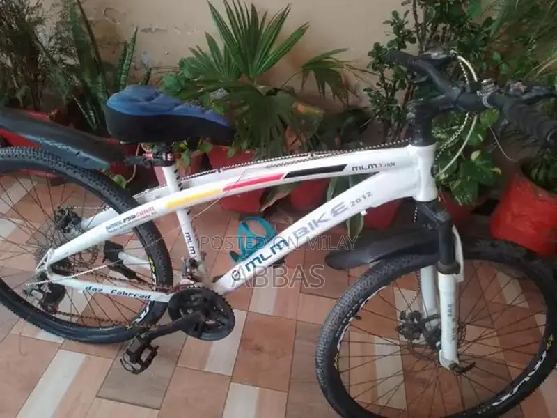 Imported Branded Bicycle - Versatile Urban Commuter Model