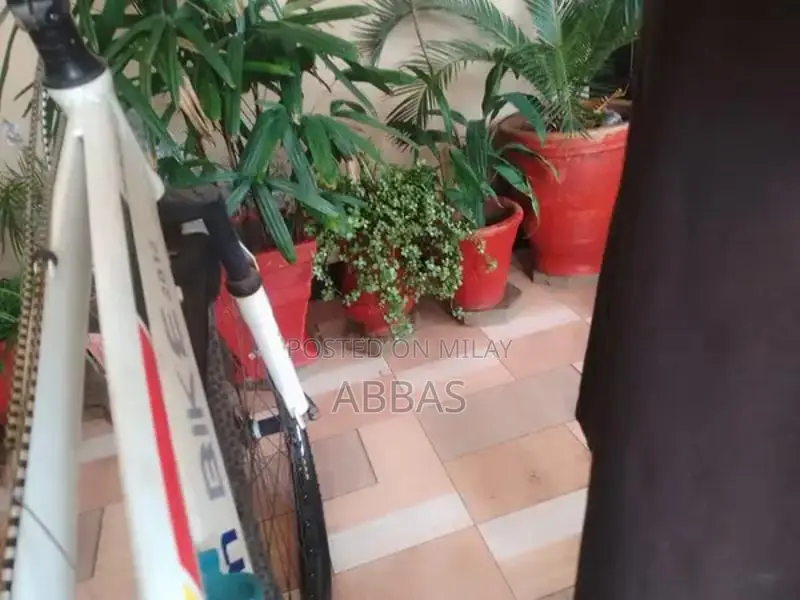 Imported Branded Bicycle - Versatile Urban Commuter Model