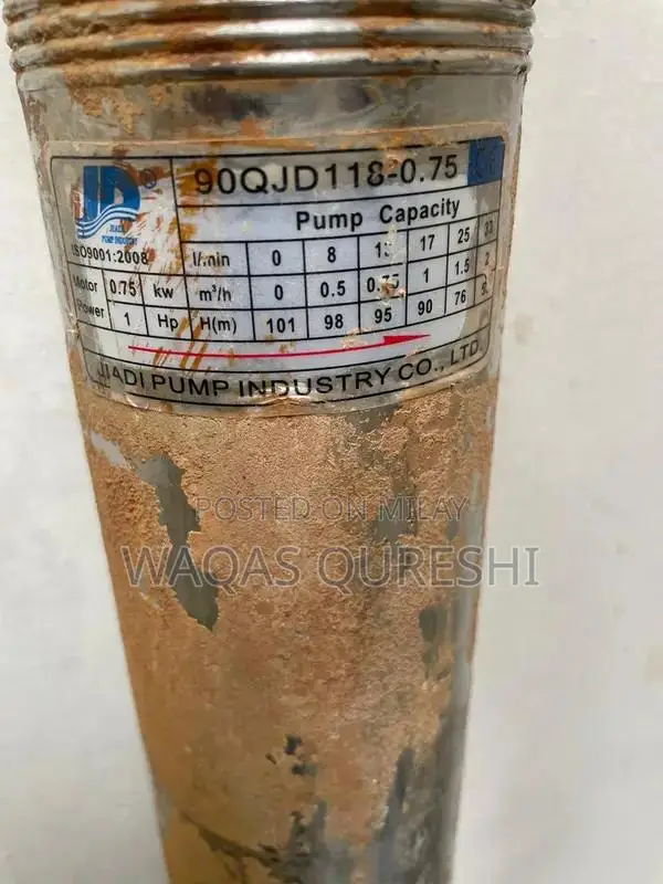 Deep Well Submersible Missile Pump