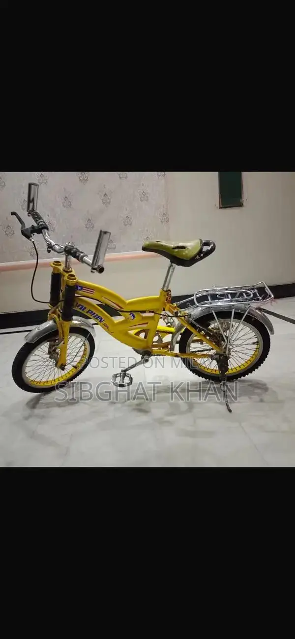 Dolphine Company Bicycle - Versatile Cycling Option