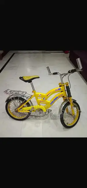 Dolphine Company Bicycle - Versatile Cycling Option