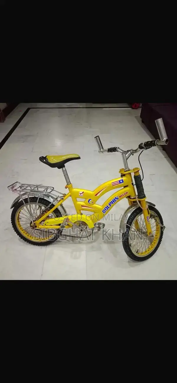 Dolphine Company Bicycle - Versatile Cycling Option