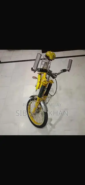 Dolphine Company Bicycle - Versatile Cycling Option