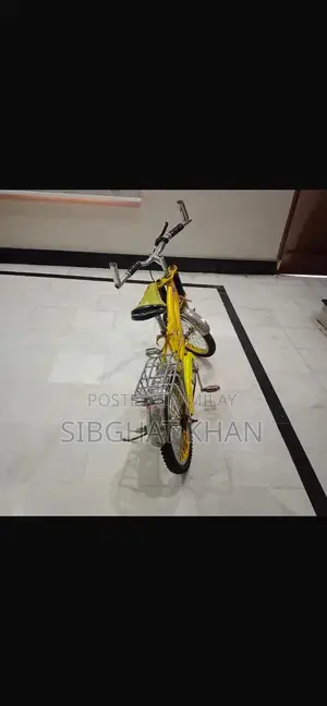 Dolphine Company Bicycle - Versatile Cycling Option