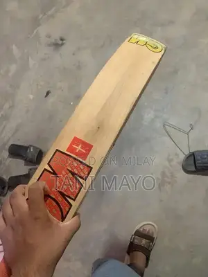 Photo - Professional Cricket Bat and Accessories - Traditional English Wood