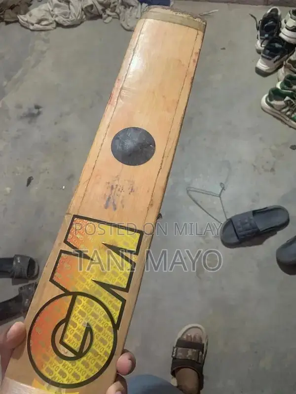 Professional Cricket Bat and Accessories - Traditional English Wood