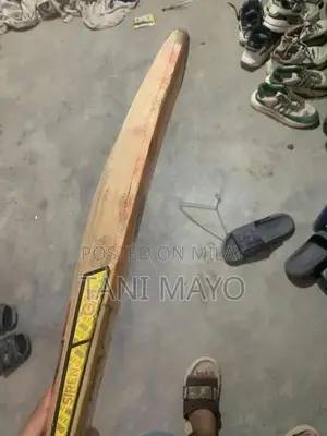 Professional Cricket Bat and Accessories - Traditional English Wood