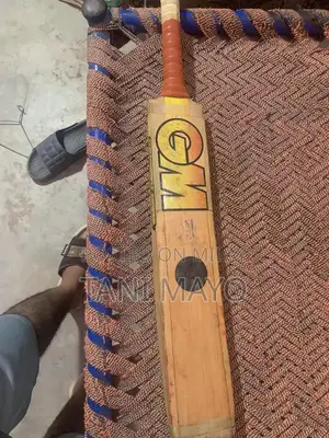 Professional Cricket Bat and Accessories - Traditional English Wood
