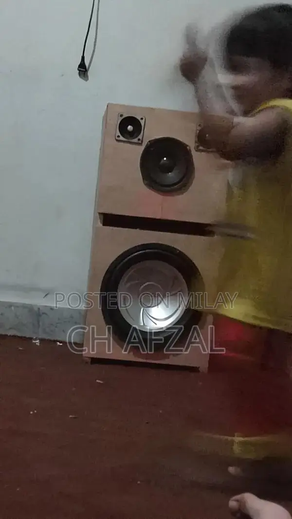12 inch subwoofer
