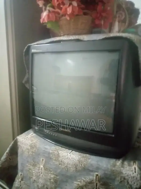 Panasonic 21-Inch Home TV Top Dome Malaysian Made