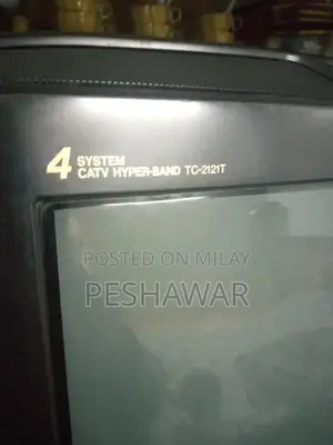 Panasonic 21-Inch Home TV Top Dome Malaysian Made