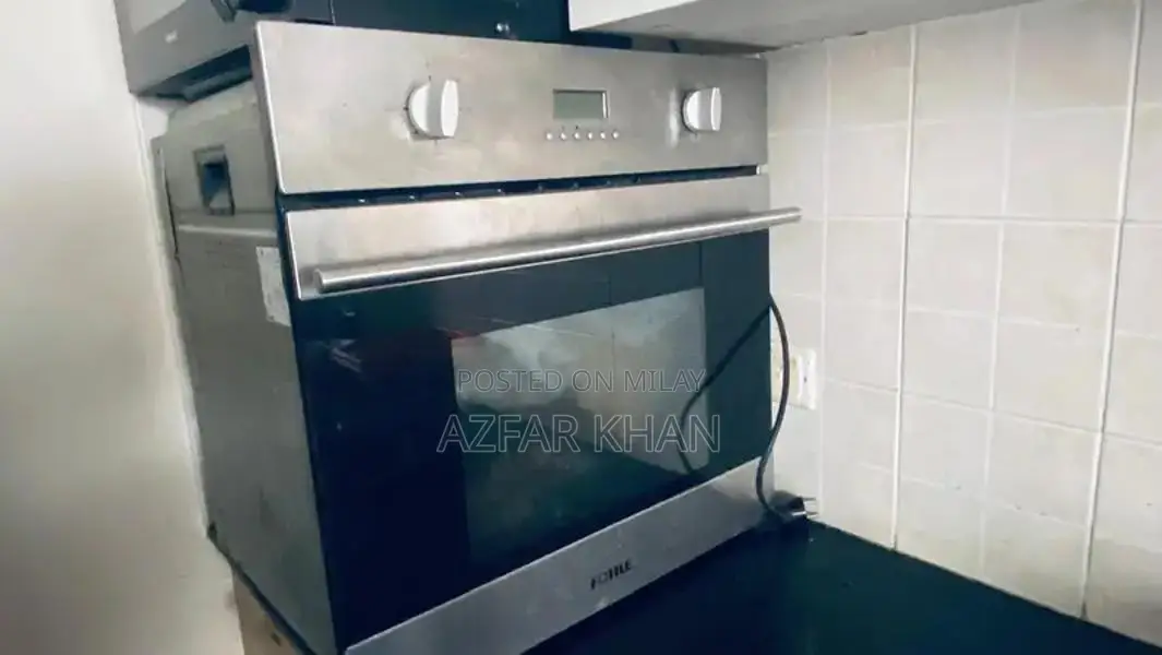 Fotile Electric Oven