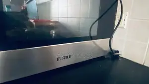 Fotile Electric Oven