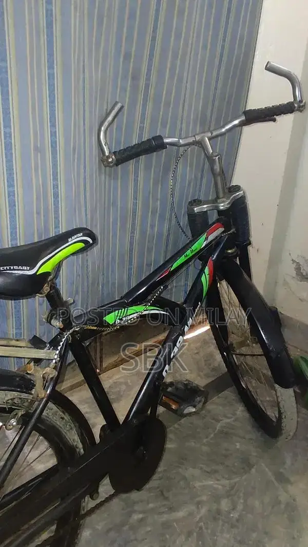 Used Bicycle