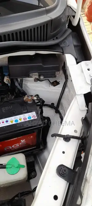 Eco-Friendly 2021 Car for Vegan Drivers