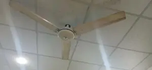 Photo - celling fan