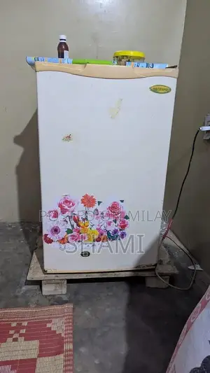 Photo - Compact Mini Refrigerator for Personal Space