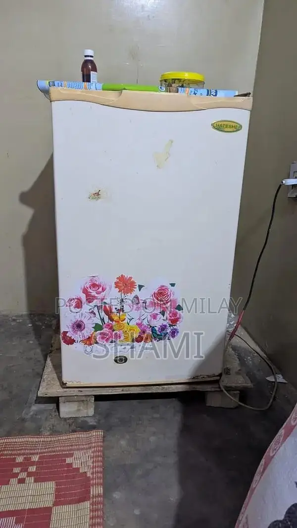 Compact Mini Refrigerator for Personal Space