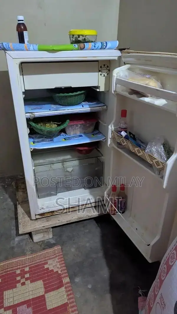 Compact Mini Refrigerator for Personal Space