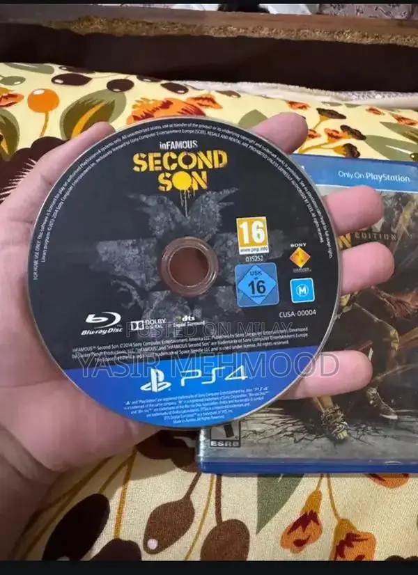 Infamous Second Son - PlayStation 4 Video Game