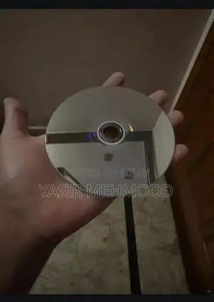 Infamous Second Son - PlayStation 4 Video Game