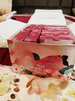 Professional Wholesale Blender Collection - Multiple Shapes and Sizes