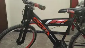 Photo - Morgan Used Bicycle for Sale - Excellent Condition